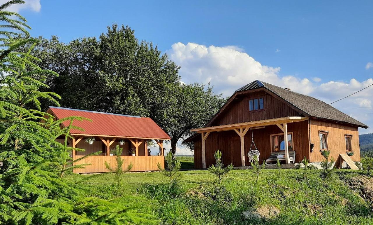 Омріяні Карпати Villa Smozhe Exterior photo