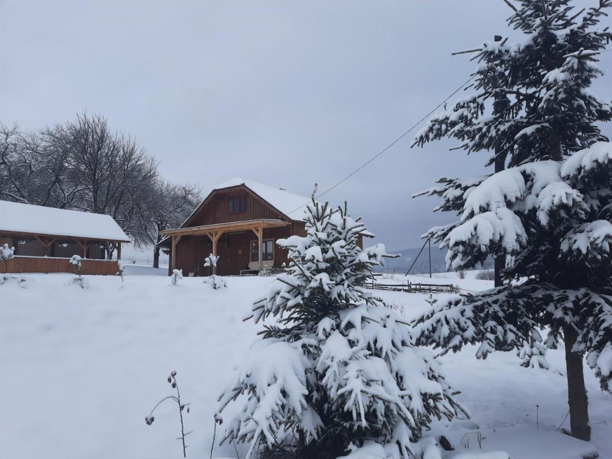 Омріяні Карпати Villa Smozhe Exterior photo